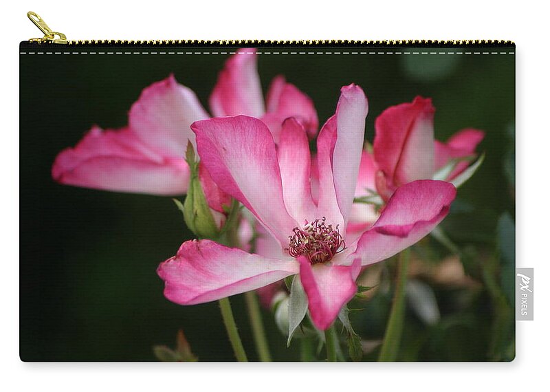 Roses Zip Pouch featuring the photograph Saying Goodbye To Summer by Living Color Photography Lorraine Lynch