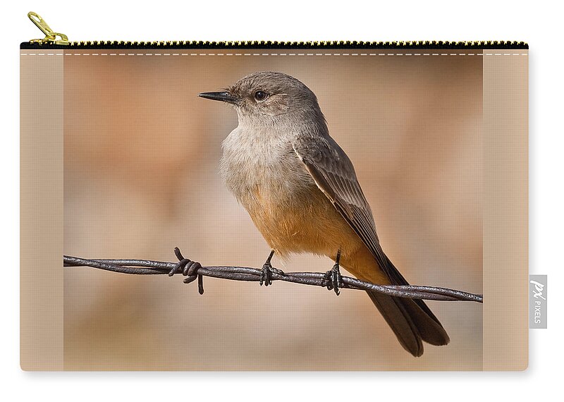 Animal Carry-all Pouch featuring the photograph Say's Phoebe on a Barbed Wire by Jeff Goulden