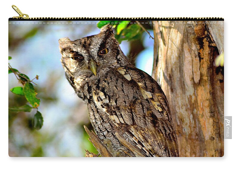 Owl Zip Pouch featuring the photograph Screech Owl by Shannon Harrington