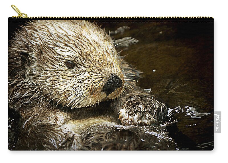 Sea Zip Pouch featuring the photograph Sea Otter by Maria Angelica Maira