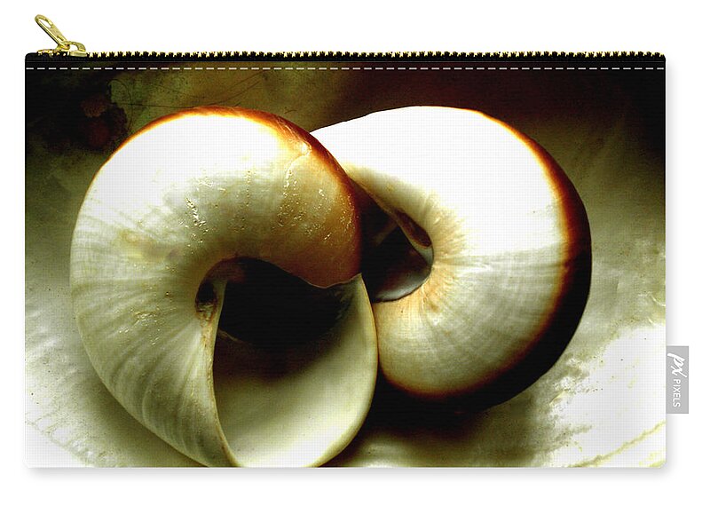 Colette Zip Pouch featuring the photograph Sea Shells Meeting by Colette V Hera Guggenheim