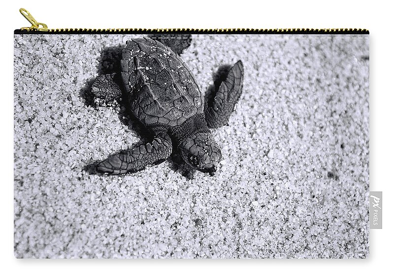 Los Cabos Zip Pouch featuring the photograph Sea Turtle in Black and White by Sebastian Musial