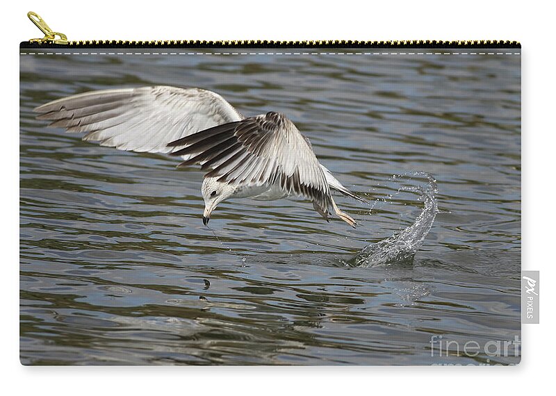 Seagull Zip Pouch featuring the photograph Seagull Dive by Deborah Benoit