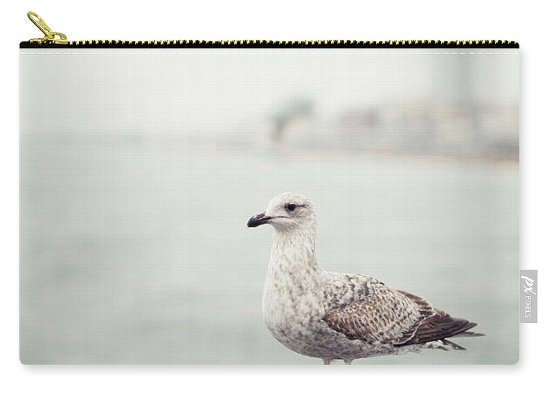 Animal Themes Zip Pouch featuring the photograph Seagull On Railings At Seaside by Images By Christina Kilgour