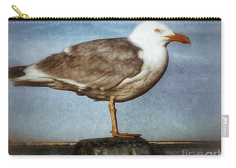 Seagull Zip Pouch featuring the photograph Seagull Perched by Beth Ferris Sale