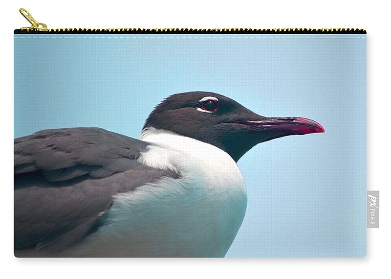 Seagull Zip Pouch featuring the photograph Seagull Portrait by Sandi OReilly
