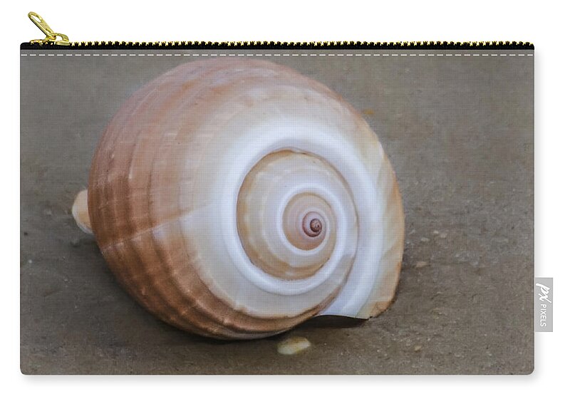 Seashell Zip Pouch featuring the photograph Seashell by Bill Cannon
