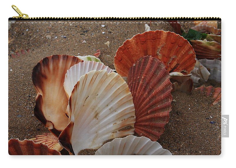 Shells Zip Pouch featuring the photograph Seashell Sail by Aidan Moran