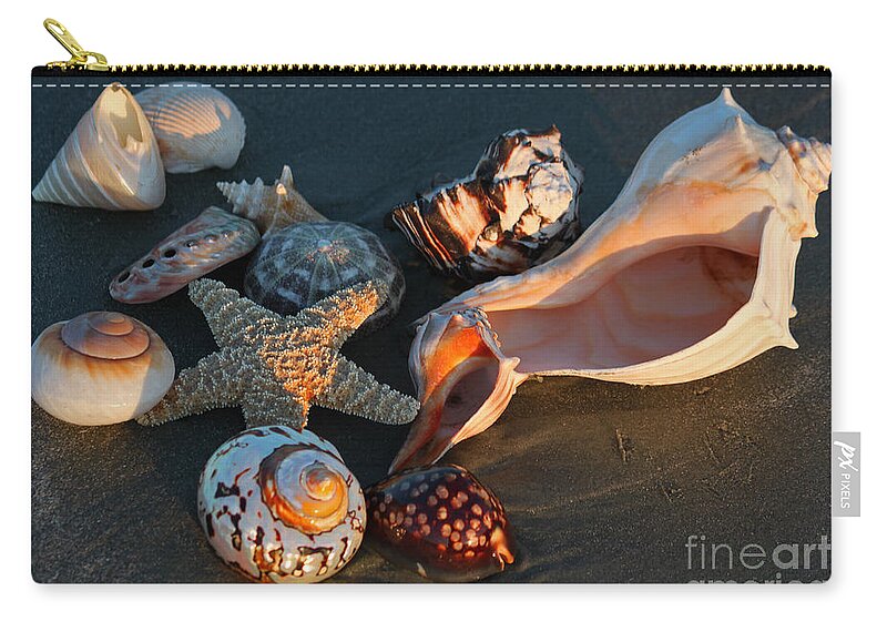Sea Shells Zip Pouch featuring the photograph Seashells at Sunset by Suzanne Gaff
