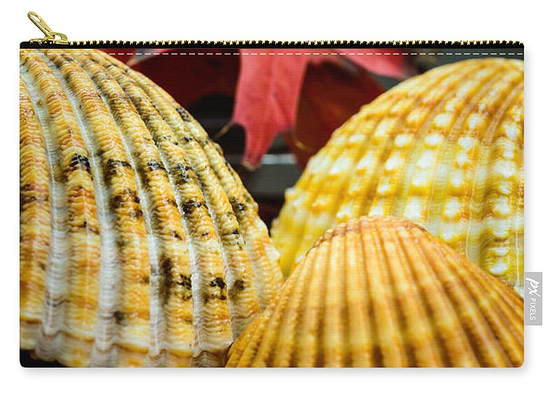 Seashells Zip Pouch featuring the photograph Seashells II by Marco Oliveira