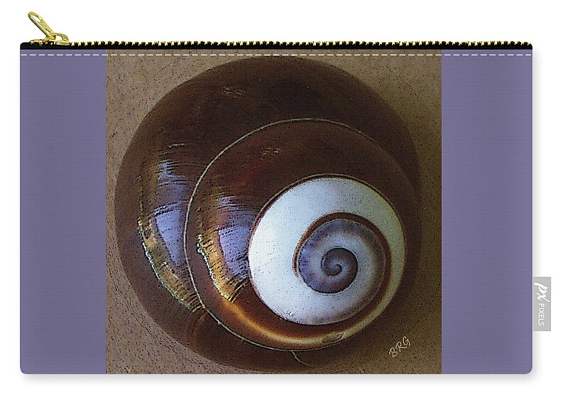 Seashell Zip Pouch featuring the photograph Seashells Spectacular No 26 by Ben and Raisa Gertsberg