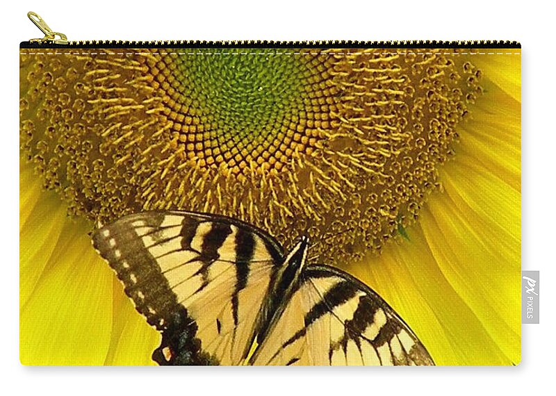 Yellow Sunflowers Zip Pouch featuring the photograph Secret Lives of Sunflowers by Kim Bemis