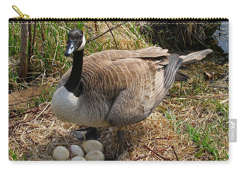Goose Zip Pouch featuring the photograph See my Eggs by Elizabeth Winter