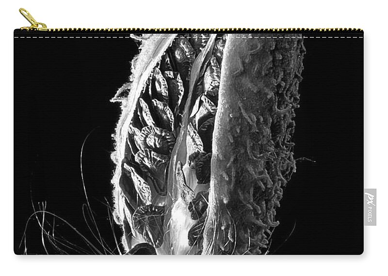 Black And White Zip Pouch featuring the photograph Seed Pod by Frederic A Reinecke