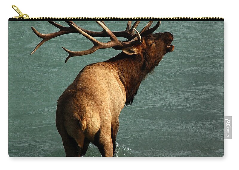 Elk Zip Pouch featuring the photograph Sending a Challenge by Vivian Christopher