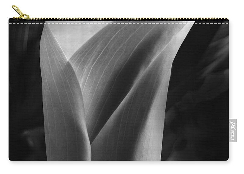 Calla Zip Pouch featuring the photograph Sensuous Calla by Lucy VanSwearingen