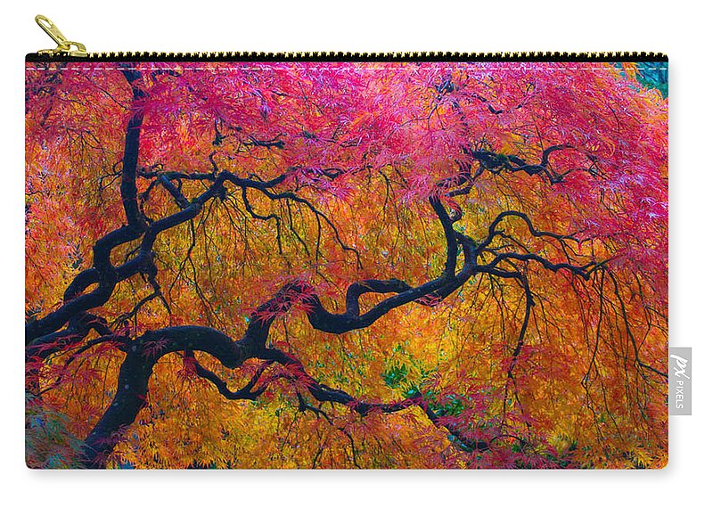 Japanese Zip Pouch featuring the photograph Shades of Autumn by Patricia Babbitt