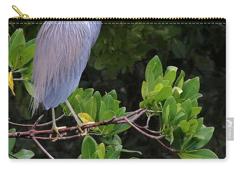 Blue Zip Pouch featuring the photograph Shades of blue and green by Doris Potter