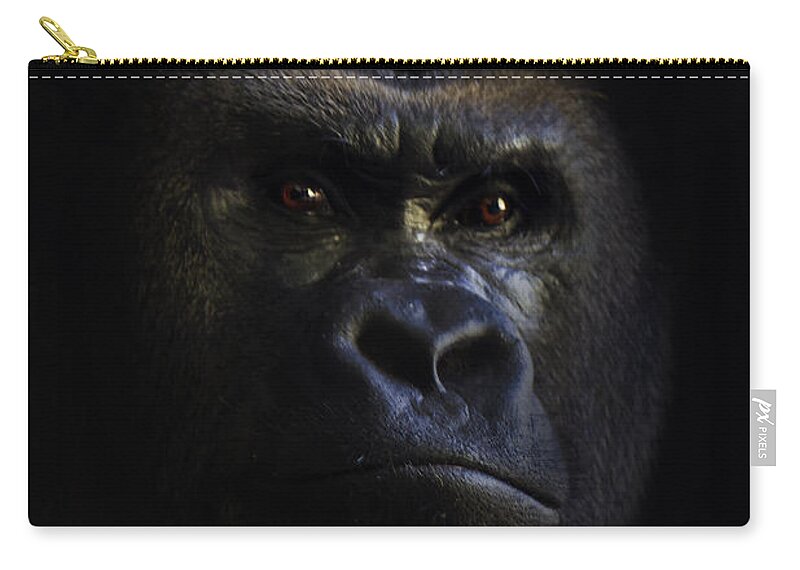 Primates Zip Pouch featuring the photograph Shadow Series five by Ken Frischkorn