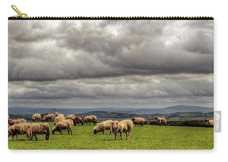 Grass Zip Pouch featuring the photograph Sheep Grazing On A Mountain Pasture by Neil Howard