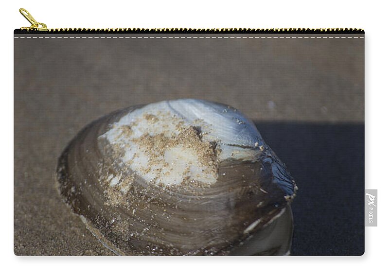 Sea Shell Carry-all Pouch featuring the photograph Shell or someone's dinner by Spikey Mouse Photography