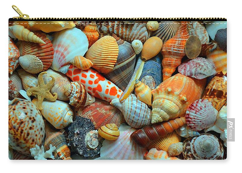 Shell Zip Pouch featuring the photograph Shells by Kevin Fortier