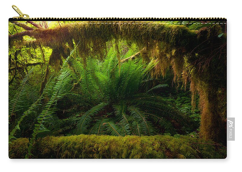Shelter Carry-all Pouch featuring the photograph Sheltered Fern by Andrew Kumler