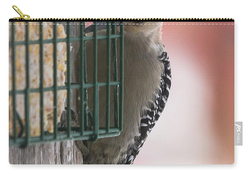 Woodpecker Zip Pouch featuring the photograph She's A Beauty by Holden The Moment