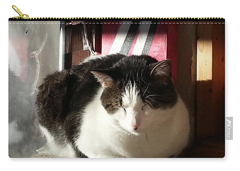 Cat Zip Pouch featuring the photograph Shhh by Caryl J Bohn