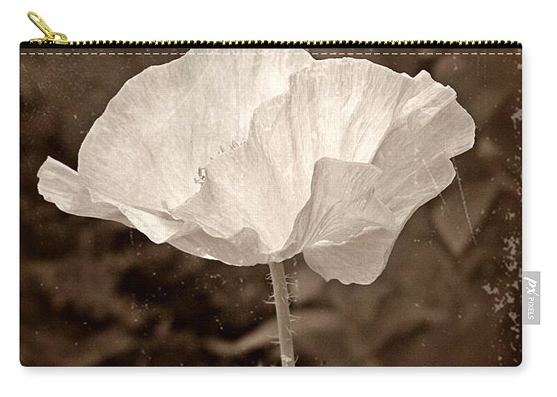 Poppy Zip Pouch featuring the photograph Shirley Poppy in Brown by Chris Berry
