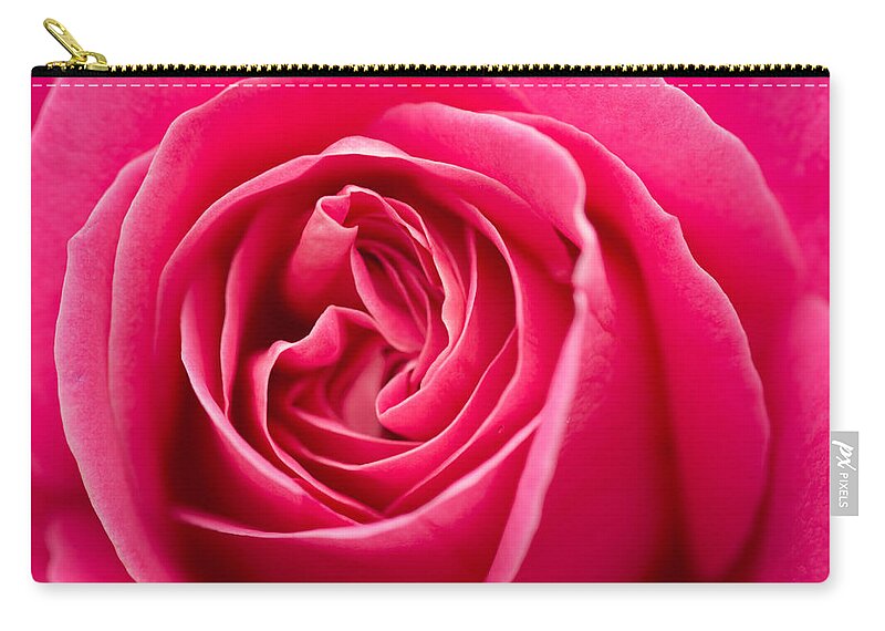 Rose Zip Pouch featuring the photograph Shocking Pink Rose by Ana V Ramirez
