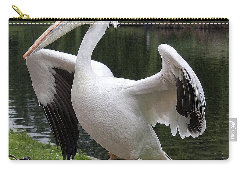 Beak Zip Pouch featuring the photograph Showing off by Shirley Mitchell