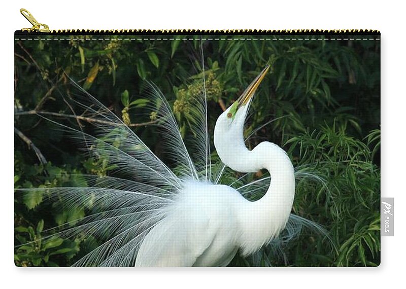 Great White Egret Zip Pouch featuring the photograph Showy Great White Egret by Sabrina L Ryan