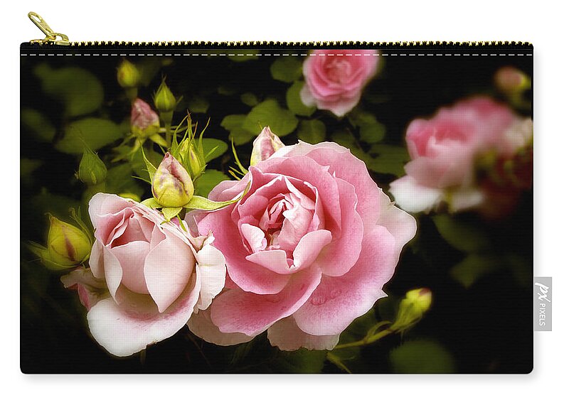 Nature Zip Pouch featuring the photograph Shrub Rose by Jessica Jenney