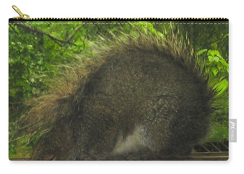  Zip Pouch featuring the photograph Shy Punk Squirrel by R Allen Swezey