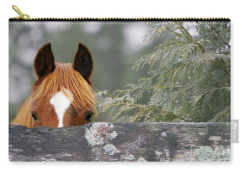 Nature Zip Pouch featuring the photograph Curiosity #1 by Michelle Twohig