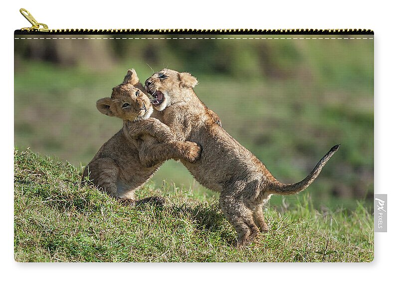 Kenya Zip Pouch featuring the photograph Sibling Rivalry by Ken Petch