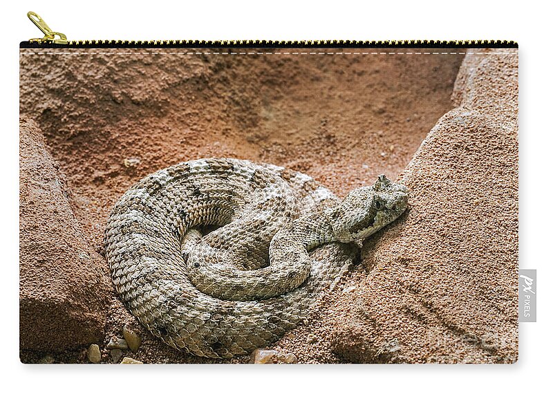 Sidewinder Zip Pouch featuring the photograph Sidewinder 2 by Arterra Picture Library