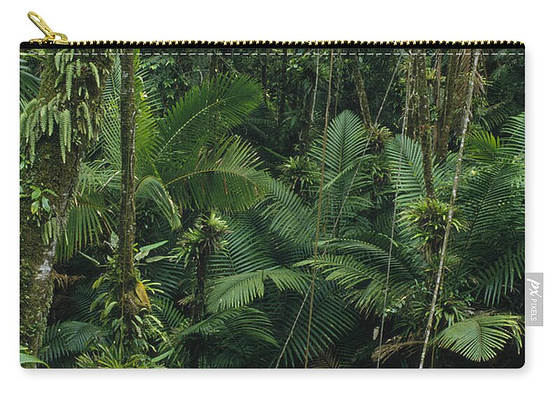 Feb0514 Zip Pouch featuring the photograph Sierra Palm Trees El Yunque Puerto Rico by Gerry Ellis