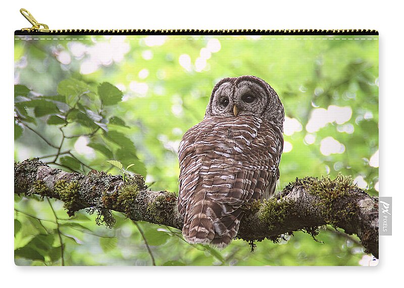 Owls Zip Pouch featuring the photograph Silent Watcher of the Woods by Peggy Collins