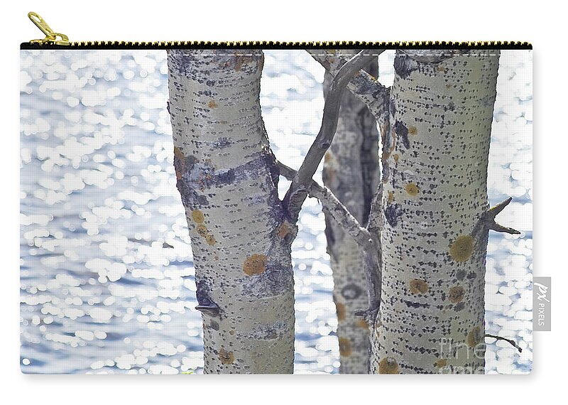 Tree Zip Pouch featuring the photograph Silver birch trees at a sunny lake by Heiko Koehrer-Wagner