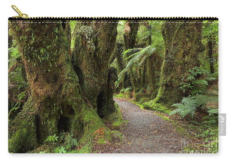 00463415 Zip Pouch featuring the photograph Silver Tree Ferns Rainforest South by Yva Momatiuk and John Eastcott