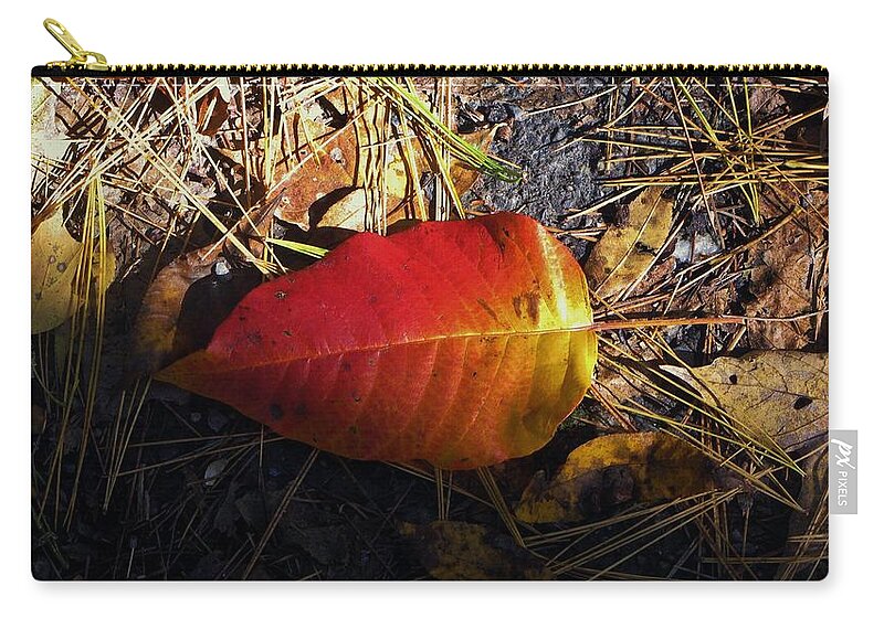 Fallen Leave Zip Pouch featuring the photograph Single Leaf by Michael Saunders