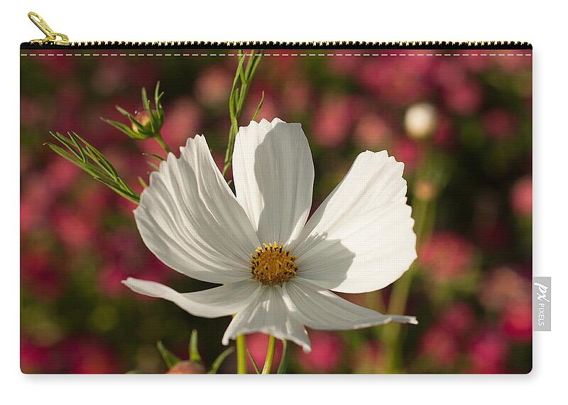 Botanical Zip Pouch featuring the photograph Single by Miguel Winterpacht