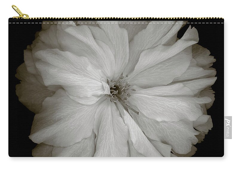 Black Color Zip Pouch featuring the photograph Single Monochrome Cherry Blossom by Ogphoto