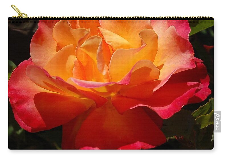 Linda Brody Zip Pouch featuring the photograph Single Red and Orange Rose by Linda Brody