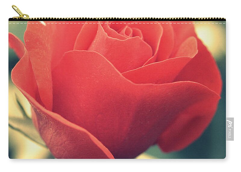 Gift Carry-all Pouch featuring the photograph Single red Rose by Amanda Mohler