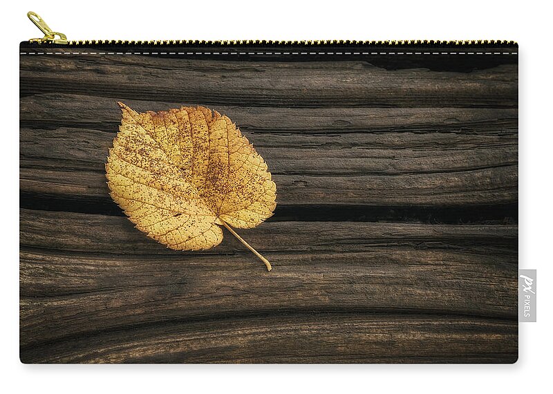 Leaf Zip Pouch featuring the photograph Single Yellow Birch Leaf by Scott Norris