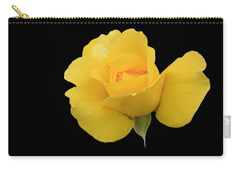 Rose Zip Pouch featuring the photograph Single yellow rose by Sue Leonard
