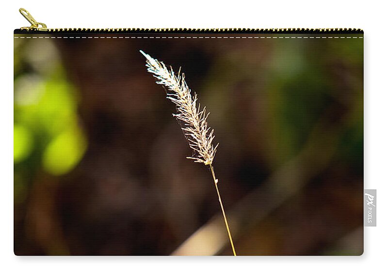 Wheat Zip Pouch featuring the photograph Single Yet Not Alone by Melinda Ledsome